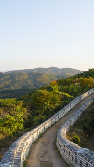 [근교/서울] 남한산성 닭백숙&야경 성벽 산책 프라이빗 반나절 투어(가이드 포함)