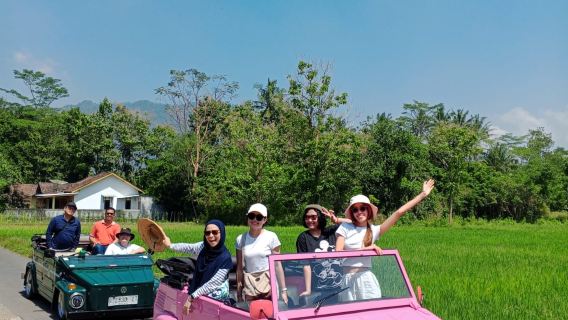 Yogyakarta'da 1 Günlük Tur (VW Turu Borobudur, Ibarbo Parkı, Obelix Köyü)