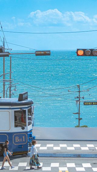 Busan 1-day tour [Haeundae Blueline Park/Gamcheon Culture Village/Cheongsapo/Yonggungsa Temple]