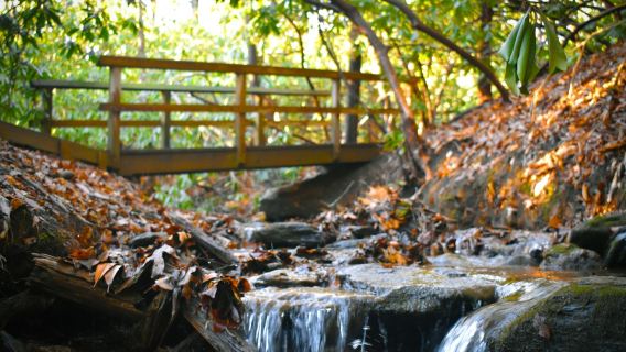 Ακουστική Περιήγηση στην τοποθεσία Asheville: Γεύσεις, Ιστορίες και Θησαυροί της Ορεινής Μητρόπολης