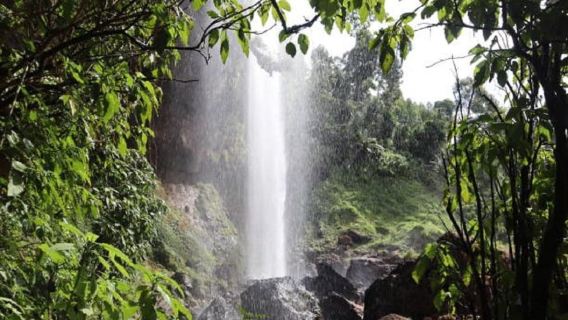 Kampala: Jinja and Source of the Nile Tour with Cruise