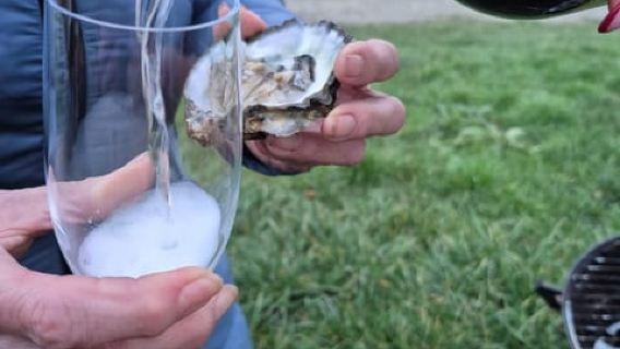 Zeeland Wild Oyster Picking Tour with drink and BBQ