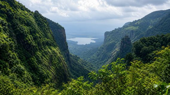 From Pune: Andharban Jungle Trek