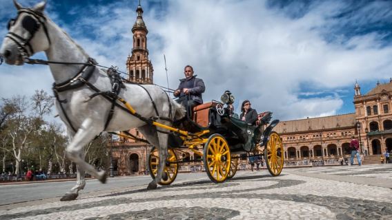 From Costa del Sol: Sevilla Day Trip with Real Alcázar Tour