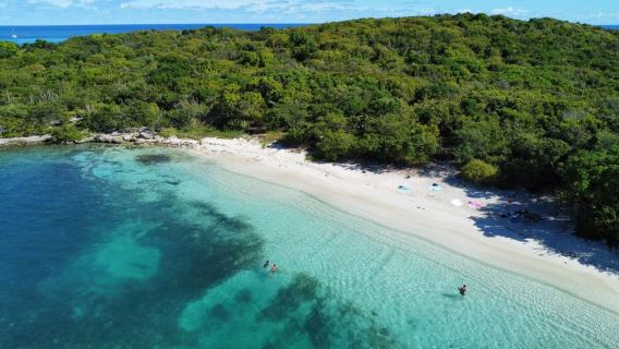 Antigua: Pulau Green, Penyu & Kolam Alami