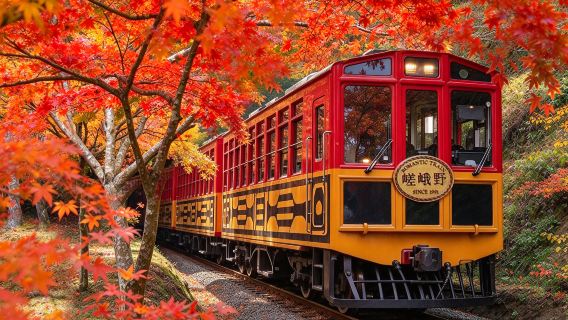 Passeio de um dia em Quioto e Nara | Parque de Nara + Santuário Fushimi Inari + Trilha de Bambu + Trem romântico opcional