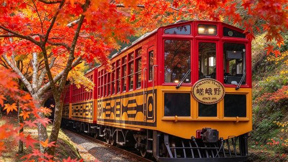 Kyoto & Nara 1-day tour | Nara Park + Fushimi Inari + bamboo forest path + optional romantic train