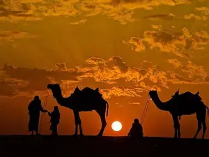 Overnight Camel Safari with Camping