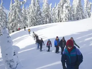 Snowshoeing in the Heart of the Swiss Alps