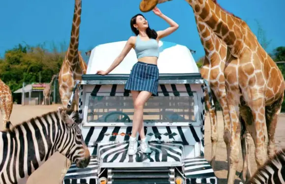 北碧野生動物園+死亡鐵路+桂河大橋一日遊【私家小包丨長頸鹿】