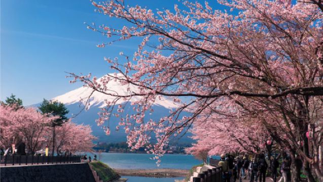 1-day tour to Mt.Fuji 5th station, Lake Kawaguchi, Oshino hakkai and Gotemba Premium Outlets