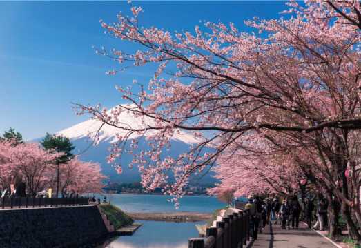 1-day tour to Mt.Fuji 5th station, Lake Kawaguchi, Oshino hakkai and Gotemba Premium Outlets