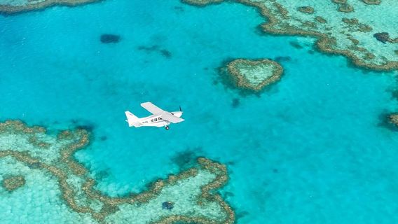 Airlie BeachTours
