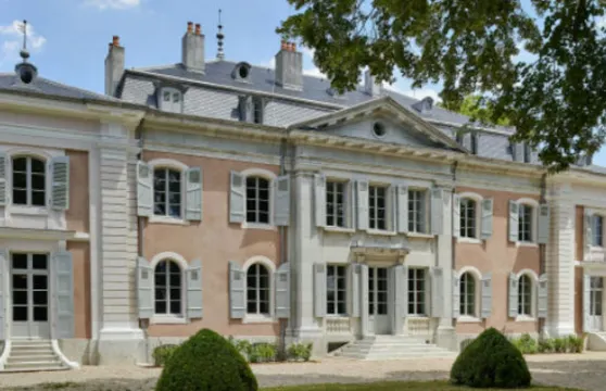 伏爾泰城堡:快速通道門票成人