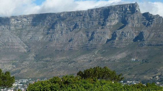 Cape Town: Half-Day City Tour