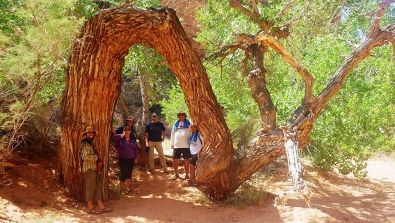MoabTours