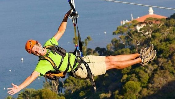 Catalina Island: Day Trip with Zipline Eco Tour