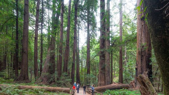 San FranciscoTours