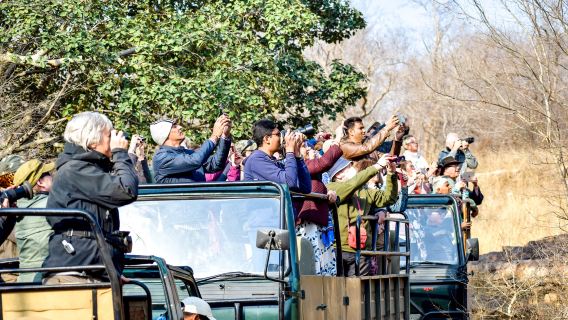 3-Day Khajuraho Temples, Panna Safari & Village Life from Delhi by Train