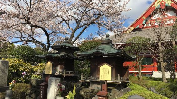東京市區淺草寺+晴空塔+秋葉原+上野公園一日遊【普通話包車】