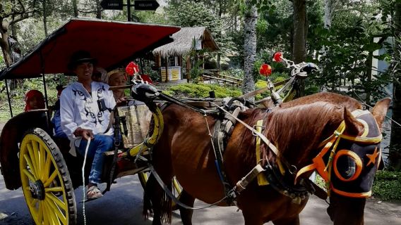 印度尼西亞普瓊Coban Rondo Waterfall Pujon旅拍【婚紗照攝影】
