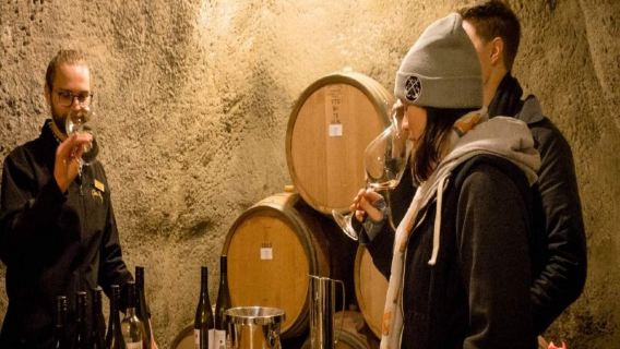 Tour di degustazione alla cantina Gibbston Valley a Quilpie, Nuova Zelanda 41184