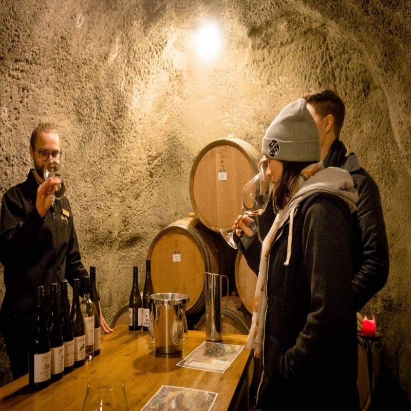 Queenstown Gibbston Valley Winery Wine Tasting Tour 41184