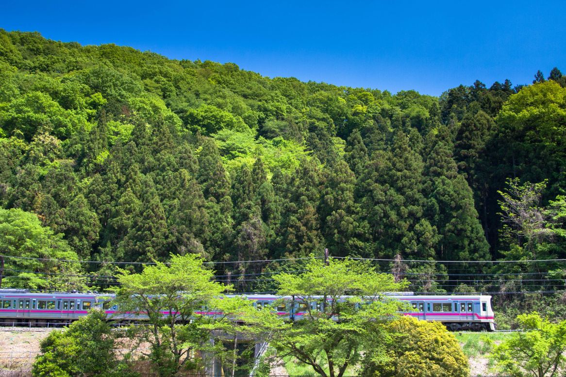 京王線1日乗車券｜高尾山・よみうりランド公式セット | Trip.com