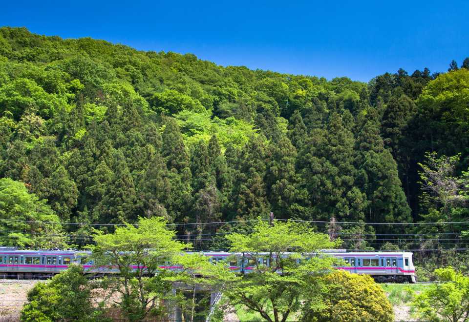 京王線1日乗車券｜高尾山・よみうりランド公式セット | Trip.com