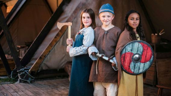 Swedish History Museum: Entry Ticket