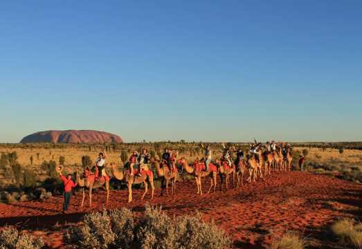Uluru Desert Camel Ride [Optional Sunrise/Daytime/Sunset Time Slots + Professional English Guide + Hotel Transfer*Round-Trip Air-Conditioned Bus]