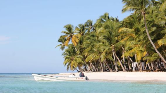 Punta Cana: Saona Island and Altos de Chavón Day Trip