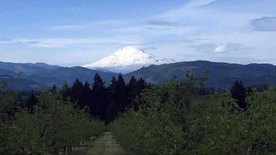 PortlandExperiences