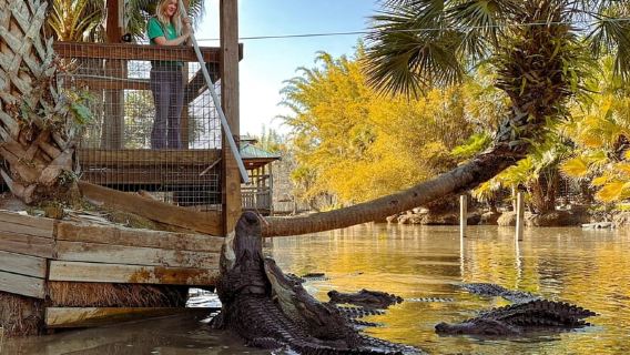Orlando: Tiket Wild Florida Park dan Pertunjukan Buaya