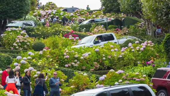 舊金山終極城市之旅（含海灣巡遊）