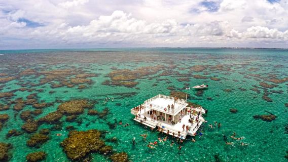 Arrecife Maracajau Parrachos: Aventura de nado con máscara y snorkel