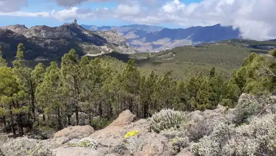 Gran Canaria: "Peaks of Gran Canaria" Hiking Tour