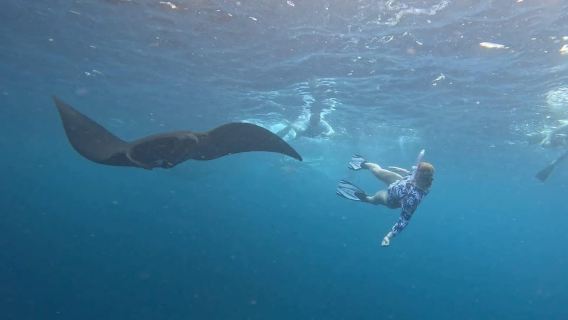 Nusa Penida: 3 Spot Snorkeling Tour dan Pulau Barat