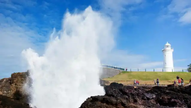 從雪梨出發：基阿瑪和南海岸風景私人旅遊