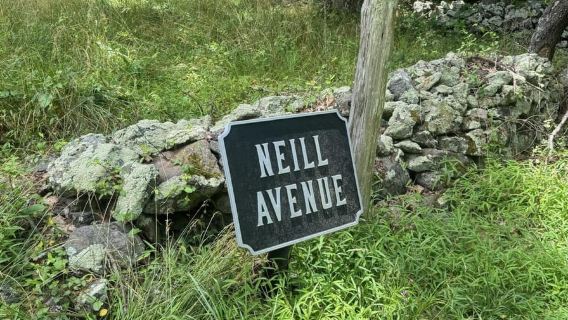 Gettysburg: tour della fattoria infestata con giro in carrozza