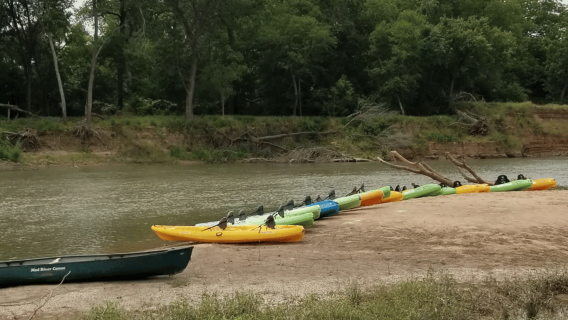 Bastrop: El Camino Real Paddle Trail Kayak and Canoe Rental