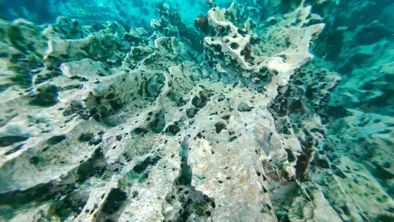 フィリピン・コロン島スーパー旅行ルート—冷熱湖＆カヤンガン湖＆双子