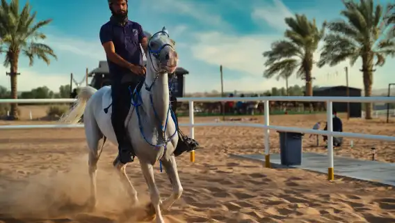 杜拜熱氣球飛行體驗含日出景觀與飯店接送