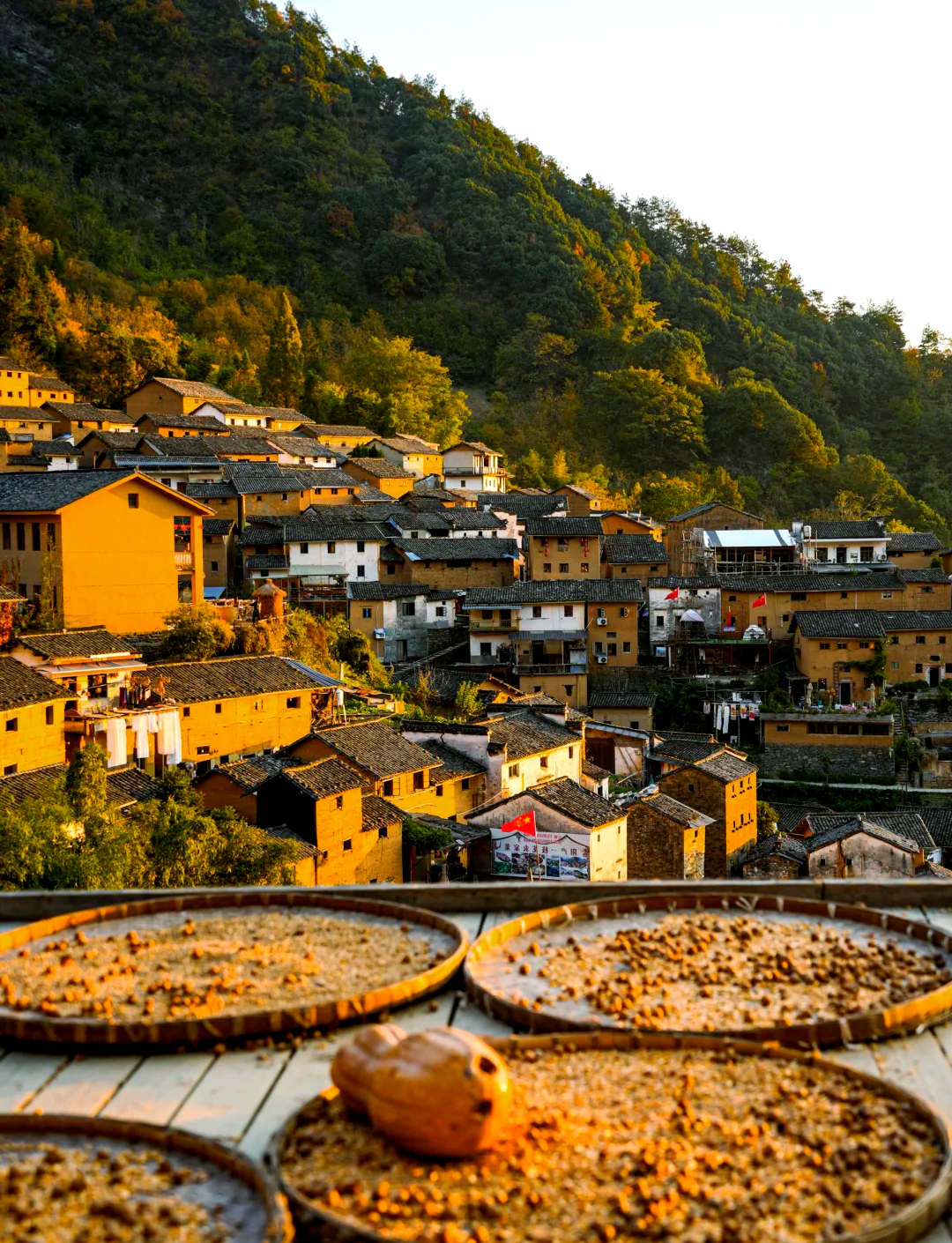 新安江山水畫廊+陽產土樓+徽州古城【上門接駁|含門票+導遊】