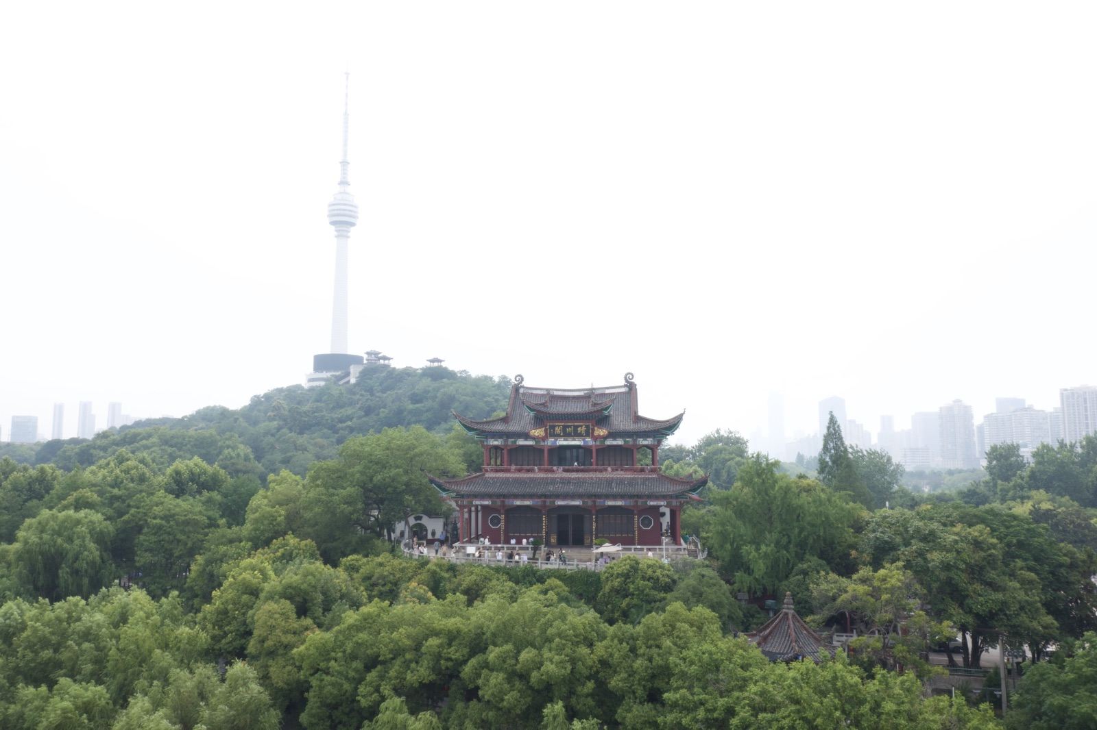 Wuhan · Yangtze River Trilogy: The Yellow Crane Tower | QingChuan | Certified Tour Guided 