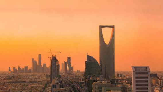 Trip Moments a Buraydah, Arabia Saudita[Servizi fotografici e video per matrimoni al Parco Principe Faisal con guida locale e noleggio con conducente esclusivo, team professionale]