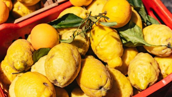 Desde Nápoles: Excursión en barco a Positano y Amalfi con bebidas incluidas.