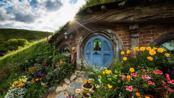 紐西蘭奧克蘭【霍比特人村+懷託摩螢火蟲洞+中文】一日遊