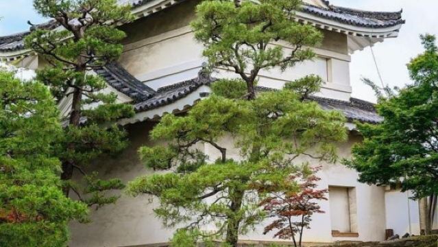 Japan Tokyo + Skytree + Sensō-ji 1-day tour / Flexible itinerary - Customizable