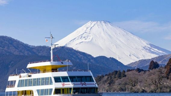 Fuji-Hakone: tour di un giorno da Tokyo + ritorno in Shinkansen + pranzo facoltativo